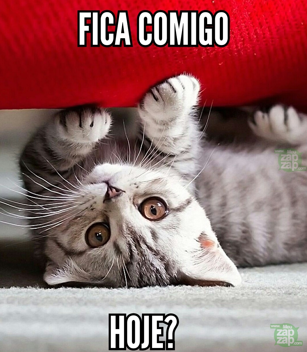 Clique para baixar