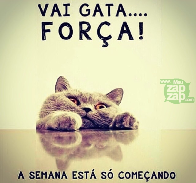 Clique para baixar