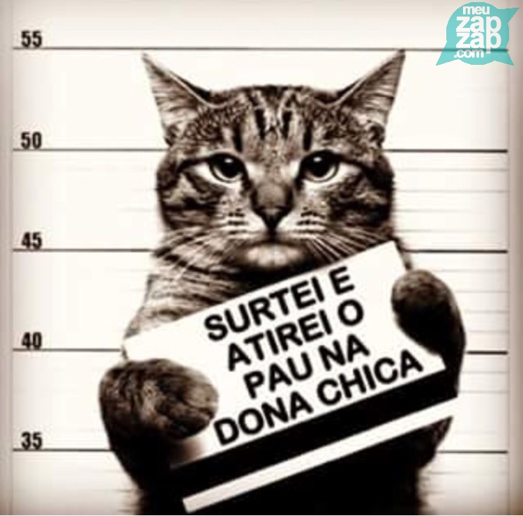 Clique para baixar