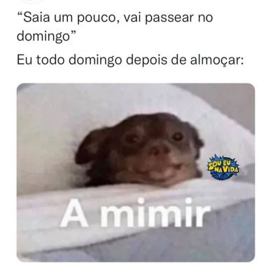 Meu ZapZap - Imagens Domingo - Engraçadas para Whatsapp e Facebook