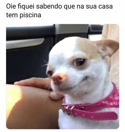 Meu ZapZap - Imagens Domingo chegando - Engraçadas para Whatsapp e Facebook