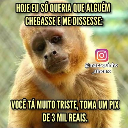 Meu Zapzap Imagens S Um Pix Para Me Fazer Feliz Outras Para Whatsapp E Facebook