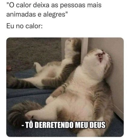 670 ideias de Memes  engraçado, memes engraçados, frases engraçadas