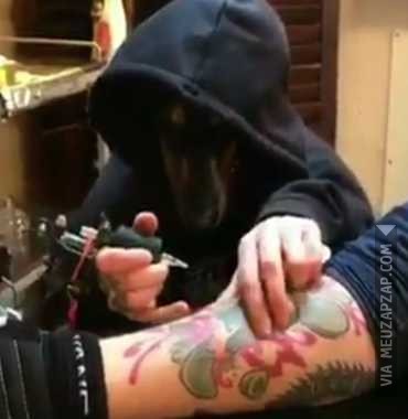 Cachorro Tatuador - Vídeo Animais para Redes Sociais