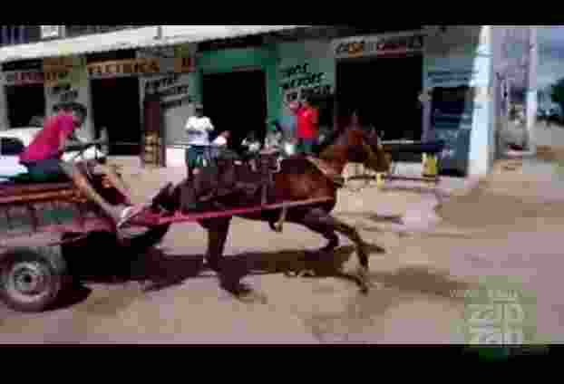 Cavalo de pau - Vídeo  Engraçados para Redes Sociais